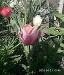     
: P80421-104616(1).jpg
: 77
:	132.9 
ID:	12667372