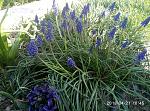     
: P80421-104520.jpg
: 12
:	262.2 
ID:	12667373