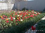     
: P80421-104505.jpg
: 12
:	252.0 
ID:	12667374