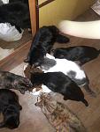     
: IMG-c9a535ea3f108bd95ecb545305dd48ca-V.jpg
: 33
:	83.7 
ID:	12667392