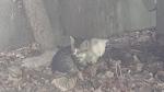     
: 20180423_122744.jpg
: 12
:	86.0 
ID:	12669710