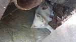     
: 20180423_122858.jpg
: 10
:	80.3 
ID:	12669715