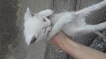     
: 20180423_190848.jpg
: 10
:	55.5 
ID:	12670743