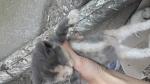     
: 20180423_190921.jpg
: 13
:	71.9 
ID:	12670746