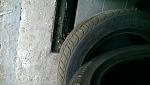     
: IMAG0359.jpg
: 11
:	127.4 
ID:	12671523