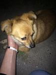     
: IMG_3377-25-04-18-02-13.jpg
: 14
:	51.5 
ID:	12672141