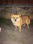     
: IMG_3374-25-04-18-02-13.jpg
: 12
:	79.7 
ID:	12672142