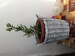     
: C37A0F55-495E-4DB2-98B4-A4F55F5657E9.jpg
: 9
:	96.9 
ID:	12674748