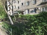     
: C2ED7CE7-DDA4-4FC7-A61E-795BD39FD475.jpg
: 27
:	218.0 
ID:	12674900