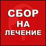     
: 31363327_1934036363273297_439035727975283406_n.jpg
: 12
:	26.8 
ID:	12675004