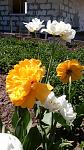     
: IMG_20180426_123022.jpg
: 190
:	117.7 
ID:	12675403