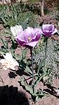     
: IMG_20180426_123307.jpg
: 83
:	147.9 
ID:	12675406
