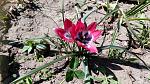     
: IMG_20180426_122931.jpg
: 72
:	229.9 
ID:	12675407
