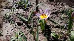     
: IMG_20180426_122936.jpg
: 76
:	261.1 
ID:	12675408
