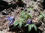     
: IMG_20180426_202308.jpg
: 73
:	238.5 
ID:	12675414