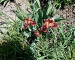     
: IMG_20180426_202326.jpg
: 11
:	311.5 
ID:	12675415
