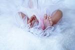     
: 30176681_1884960894908333_223105961_o.jpg
: 14
:	74.1 
ID:	12675484