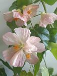     
: P80427-151025.jpg
: 66
:	68.9 
ID:	12676434