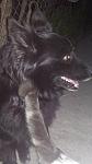     
: 20180420_201307.jpg
: 13
:	61.0 
ID:	12676507