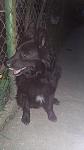     
: 20180420_201339.jpg
: 14
:	57.7 
ID:	12676509