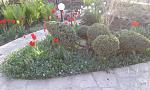     
: 20180425_180158.jpg
: 16
:	189.6 
ID:	12676914