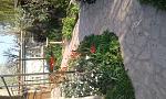     
: 20180425_180207.jpg
: 12
:	218.7 
ID:	12676916