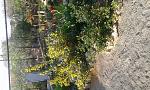     
: 20180425_180103.jpg
: 13
:	287.4 
ID:	12676917