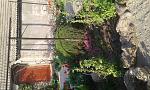     
: 20180425_180109.jpg
: 15
:	239.9 
ID:	12676918