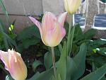     
: DSCN4764.jpg
: 14
:	84.6 
ID:	12679215