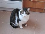     
: IMG_0144.jpg
: 21
:	91.3 
ID:	12680960