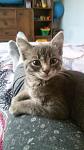     
: 20180502_075138.jpg
: 15
:	67.6 
ID:	12682175