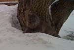     
: IMG_0374.JPG
: 48
:	122.6 
ID:	1268360
