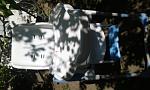     
: 20180502_140105.jpg
: 16
:	61.4 
ID:	12683670