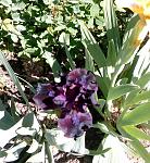     
: IMG_20180501_200612.jpg
: 12
:	184.5 
ID:	12686148