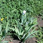     
: IMG_20180501_200554.jpg
: 13
:	272.5 
ID:	12686149