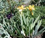     
: IMG_20180501_200644.jpg
: 14
:	303.4 
ID:	12686150