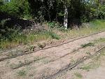     
: 20180504_155355.jpg
: 15
:	290.0 
ID:	12690047