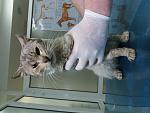     
: 20180504_183303.jpg
: 106
:	96.9 
ID:	12690092