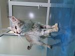     
: 20180504_183227.jpg
: 106
:	88.1 
ID:	12690098