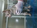     
: 20180504_183253.jpg
: 124
:	86.2 
ID:	12690100