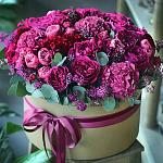     
: IMG-021dc1519107da123515f6e5ae7c83f7-V.jpg
: 8
:	109.6 
ID:	12690535