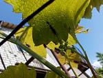     
: IMG_20180506_145518.jpg
: 13
:	108.6 
ID:	12690894