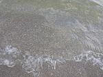     
: P80506-155358.jpg
: 24
:	250.7 
ID:	12691454