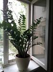     
: P80506-190347.jpg
: 22
:	78.0 
ID:	12691619