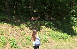     
: IMG_2166.jpg
: 23
:	222.1 
ID:	12692144