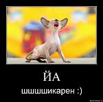     
: 8b5dc2a8234b.jpg
: 45
:	32.8 
ID:	1269257