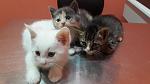     
: 20180504_154655.jpg
: 10
:	67.7 
ID:	12693454