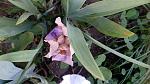     
: IMG_20180505_174459.jpg
: 14
:	106.3 
ID:	12694056