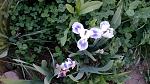     
: IMG_20180505_174444.jpg
: 13
:	153.3 
ID:	12694057