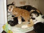     
: DSC00004.jpg
: 245
:	147.3 
ID:	1269417